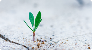 Transaction Capabilities